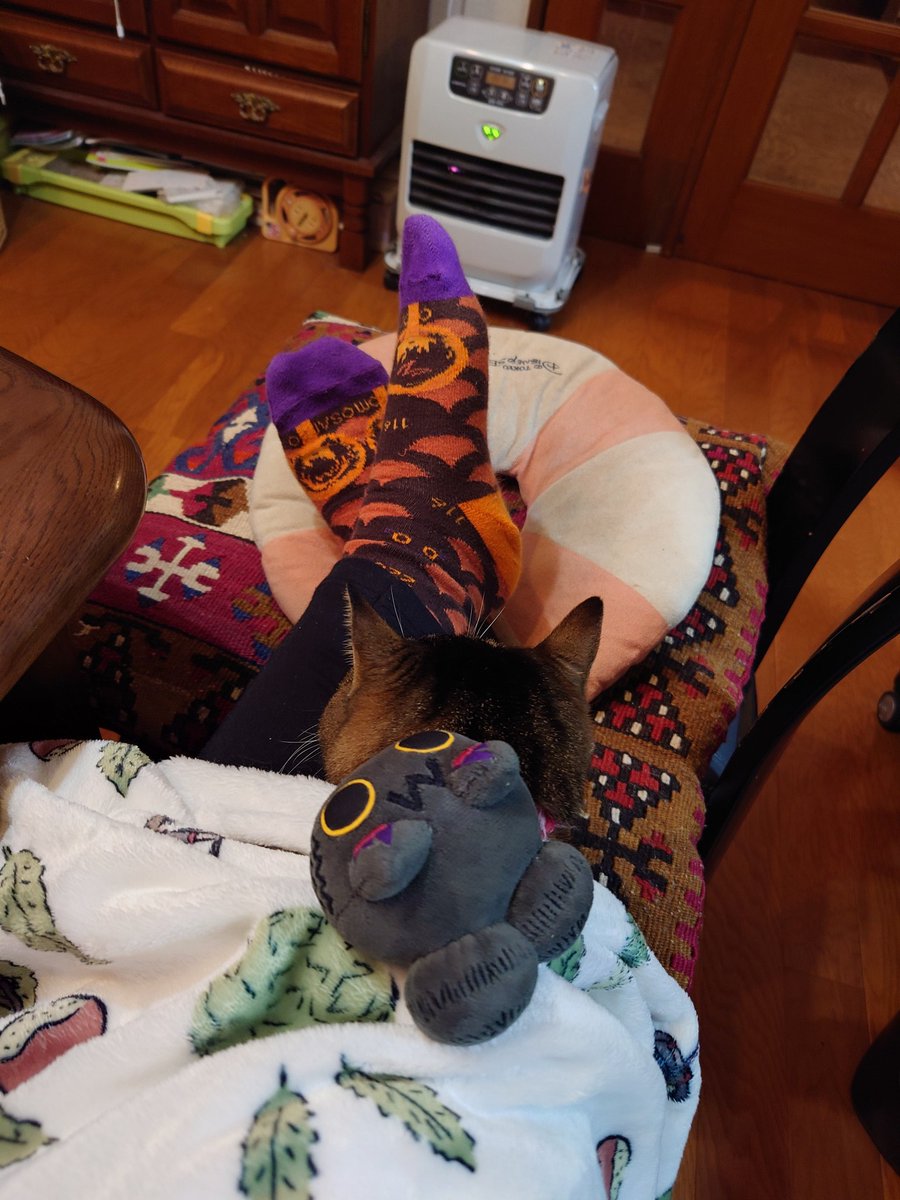 ポン太 (@tampoponta3005) / Posts / X