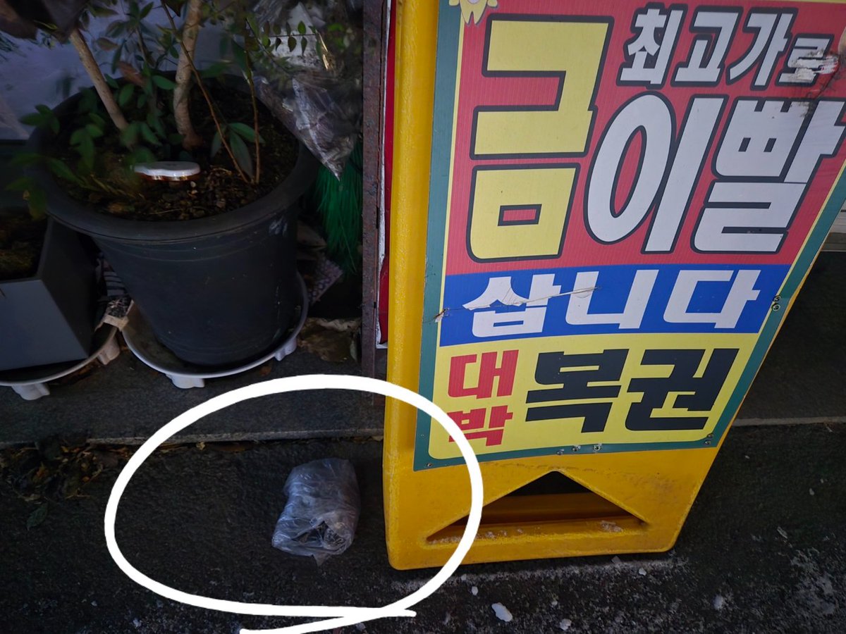 파도타다 tweet media