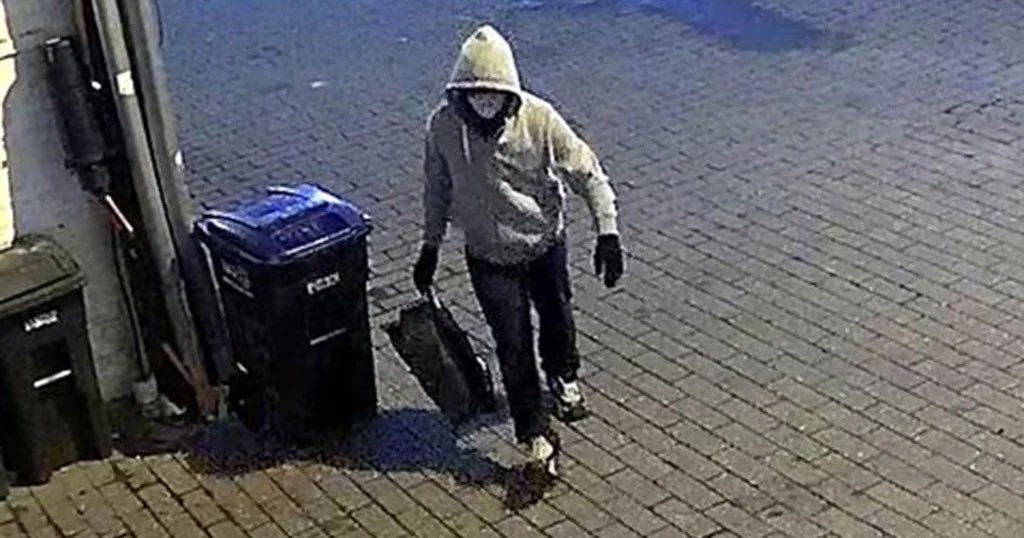 Nick Sortor (@nicksortor) on X