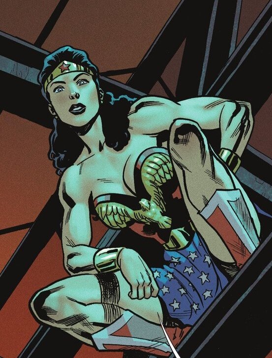 Wonder Woman BR tweet media