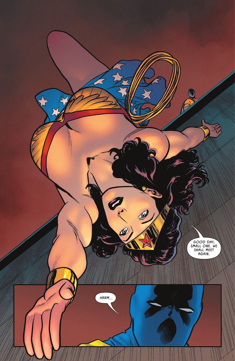 Wonder Woman BR tweet media