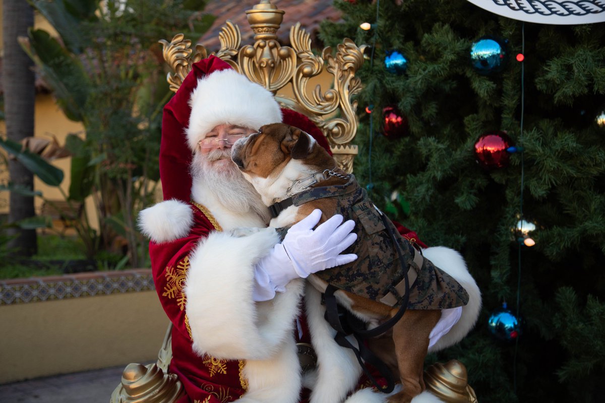 As the holiday season approaches, we extend our warmest wishes to all the brave men and women serving in the Marine Corps. Whether stationed at home, abroad, or at sea, we are deeply grateful for your service. Happy Holidays and Semper Fi!
📸Cpl. Elliott Johnson @MCRD_SD https://t.co/HCv6hzkX5D