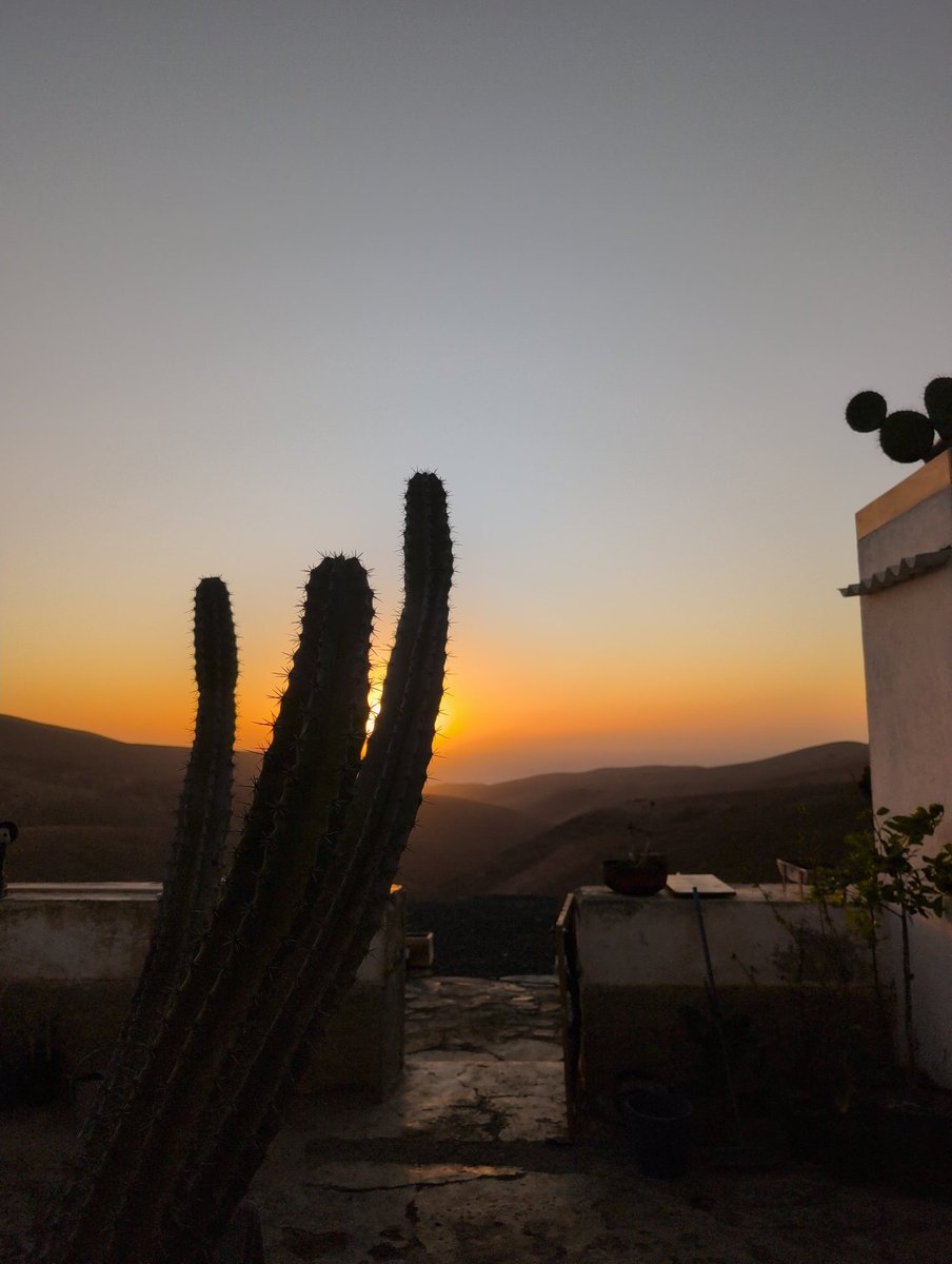 Parallel Zombies 🧟 tweet media