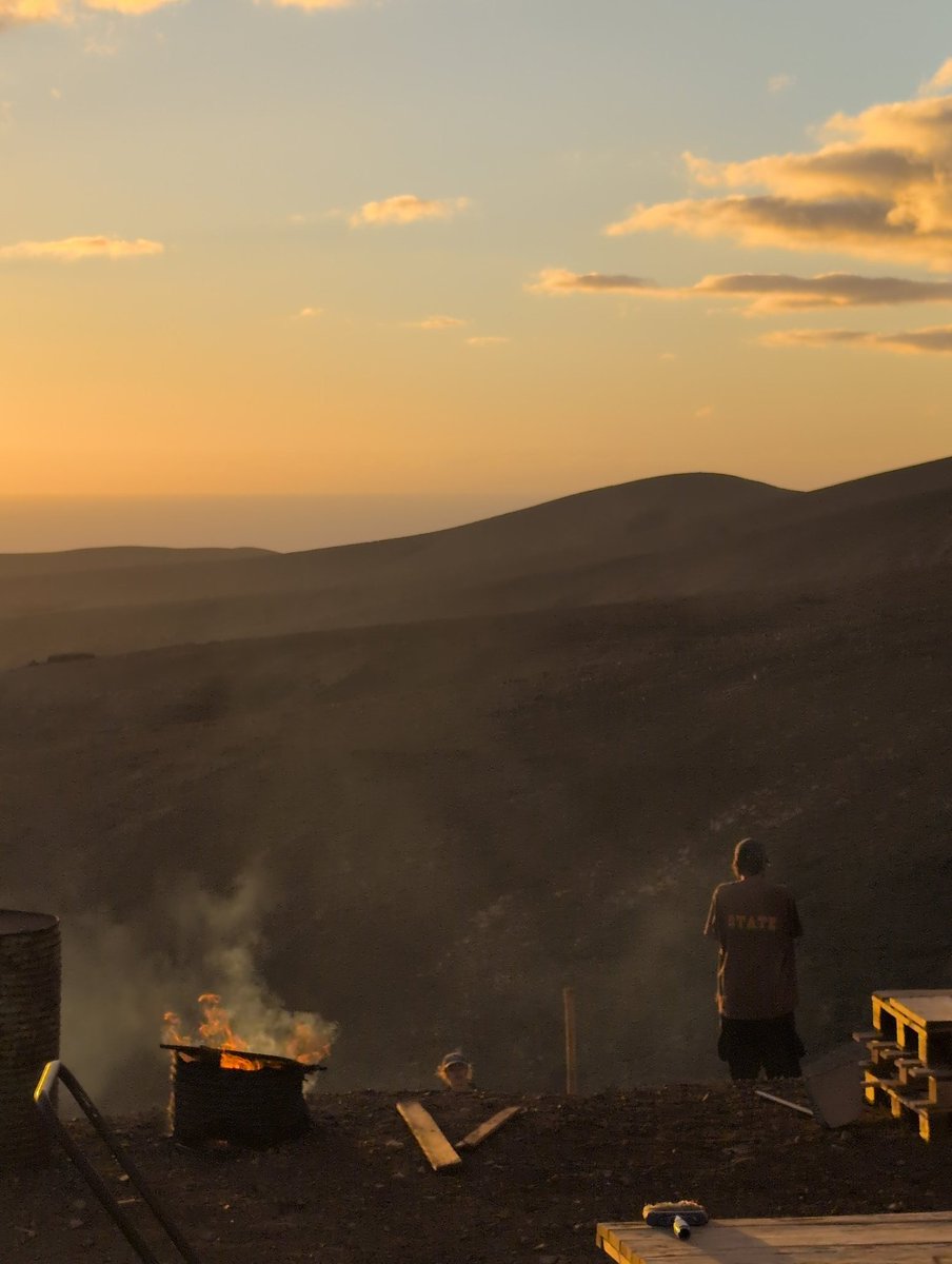 Parallel Zombies 🧟 tweet media