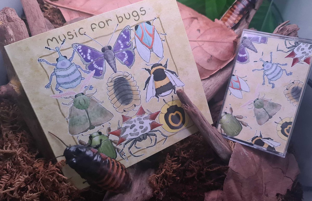 Turtle Pals Tapes tweet media