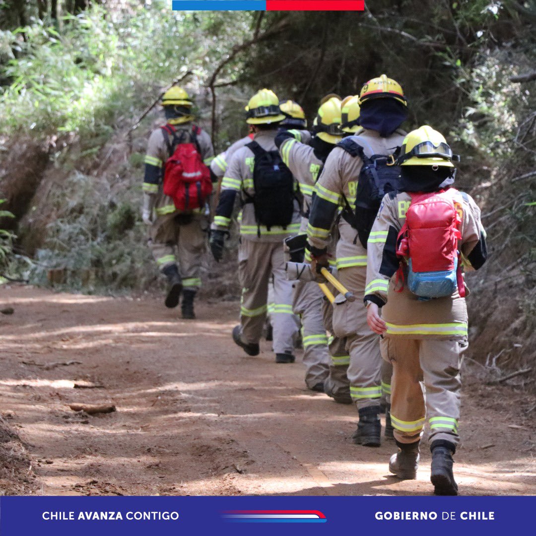 conaf_losrios's tweet photo. 📍#VALDIVIA| Vuelve el desafío “Guardianes del Bosque” 🌳 este 6 de diciembre desde las 09:00 hrs en el fundo Collico, no te pierdas esta increíble instancia público-privada que busca promover el cuidado de los bosques y la prevención de incendios forestales🙌🏼 https://t.co/s2uXcVQN06