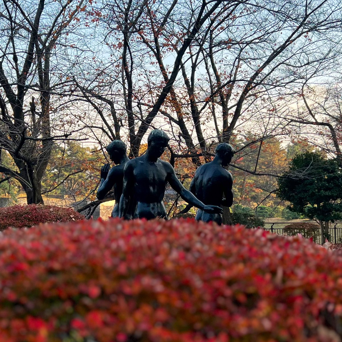 sicyan_sicyan's tweet photo. 本日は通勤往復8kmラン🏃♪
寒くなりましたね〜🥶

ただ湘南国際マラソンの日は暖かくなりそうですね🌤️
明日明後日は完全休養します🪫
それではおやすみなさいませ🌕

#cloudsurfer2 https://t.co/EYxLQvCbBZ