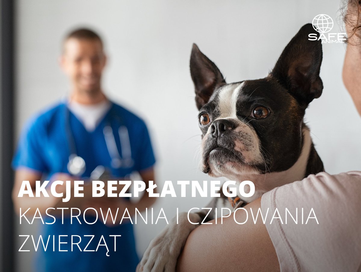 Wraz z początkiem Nowego Roku w wielu miastach i gminach ponownie ruszają akcje bezpłatnego znakowania zwierząt. Zachęcamy do zasięgnięcia informacji czy w Państwa miejscowości można skorzystać z dofinansowania na #czipowanie zwierzęcia?  <a href="/warszawa/">Warszawa</a> <a href="/Kwiatkowski2011/">Krzysztof Kwiatkowski</a> <a href="/M_K_Blonska/">Małgorzata Kidawa-Błońska</a>