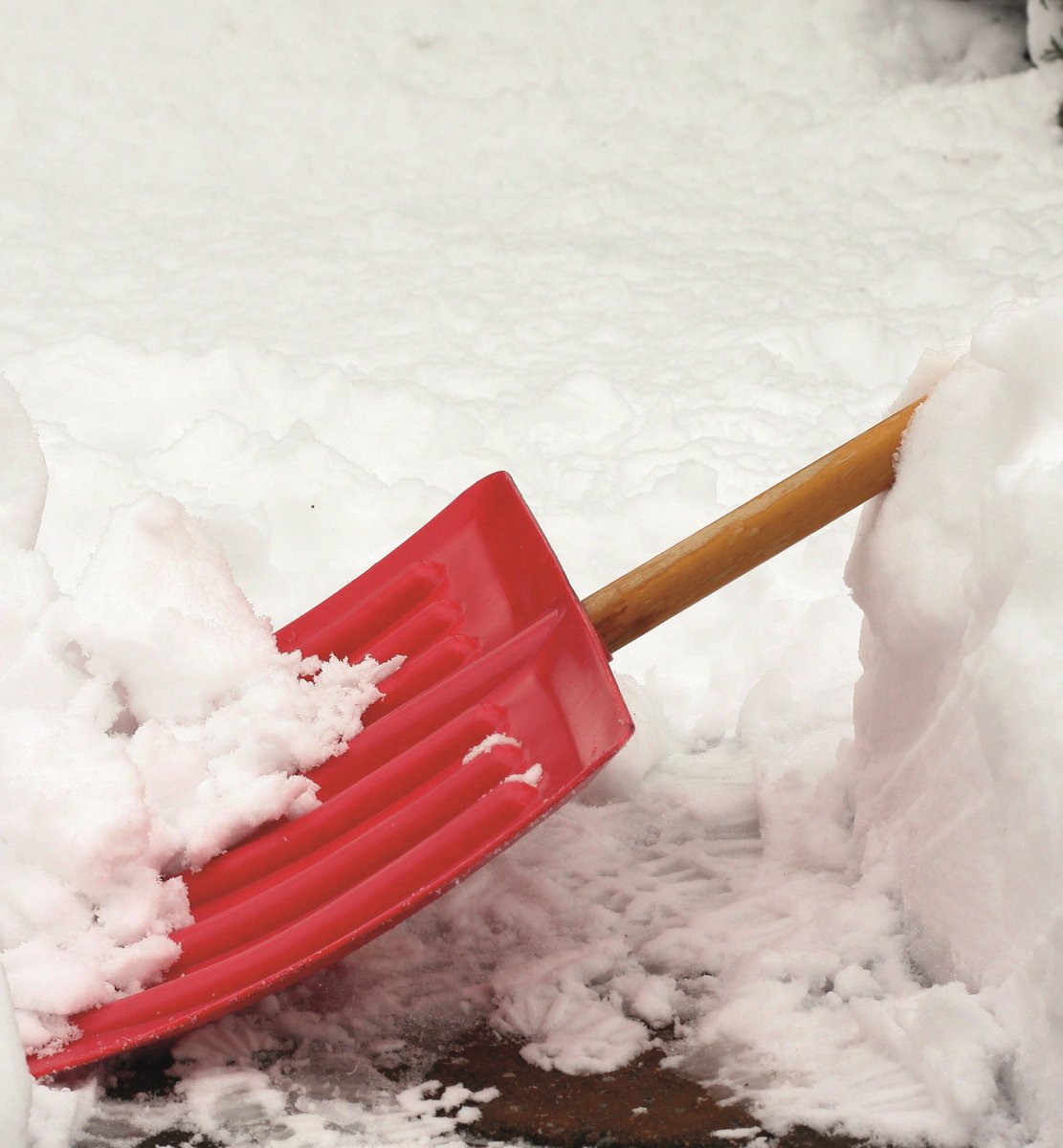 Camden Council tweet media