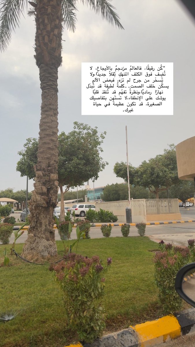 Dr. Abdullah ღ🌟 (@x_0cs) on Twitter photo 