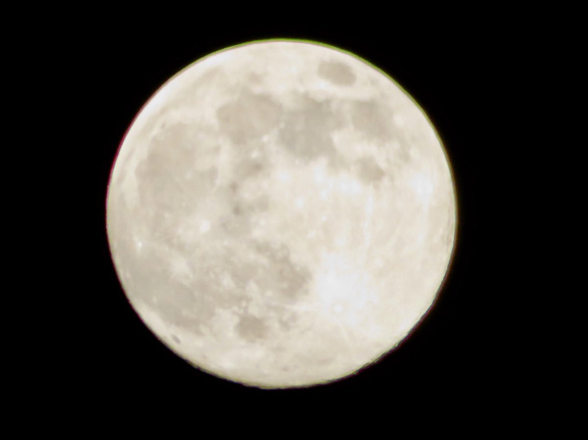 「今宵の月🌕」(ころころ🐼継承)

明日(12/5)今年最後の満月コールドムーン
を迎えます
コールドムーンとはその名の通り冬の寒さが厳しく夜が長くなるこの時期を一番象徴しています
2025年の締めくくりのコールドムーンは今年二番目に大きな満月となります

2025.12.04PM10:30埼玉県某所にて撮影