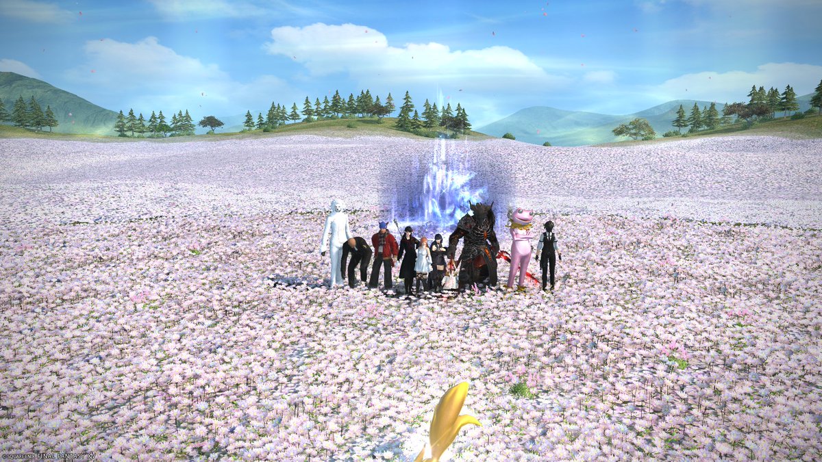 のいあー/紫雲のあ tweet media