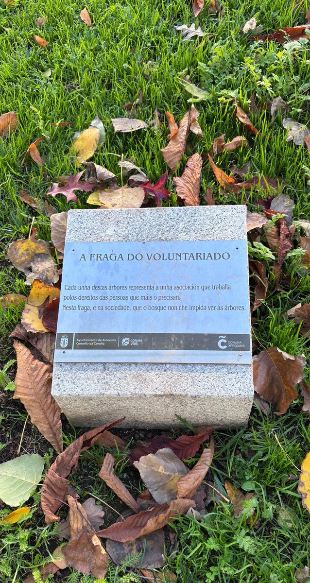 🌳 ¿Sabíais que en el Parque de Oza hay una zona que se llama A Fraga do Voluntariado? En ella, la Plataforma Coruñesa de Voluntariado puso en marcha la plantación de varios árboles dedicados a diferentes asociaciones de nuestra ciudad | Entre ellos podéis encontrar el nuestro 🥰