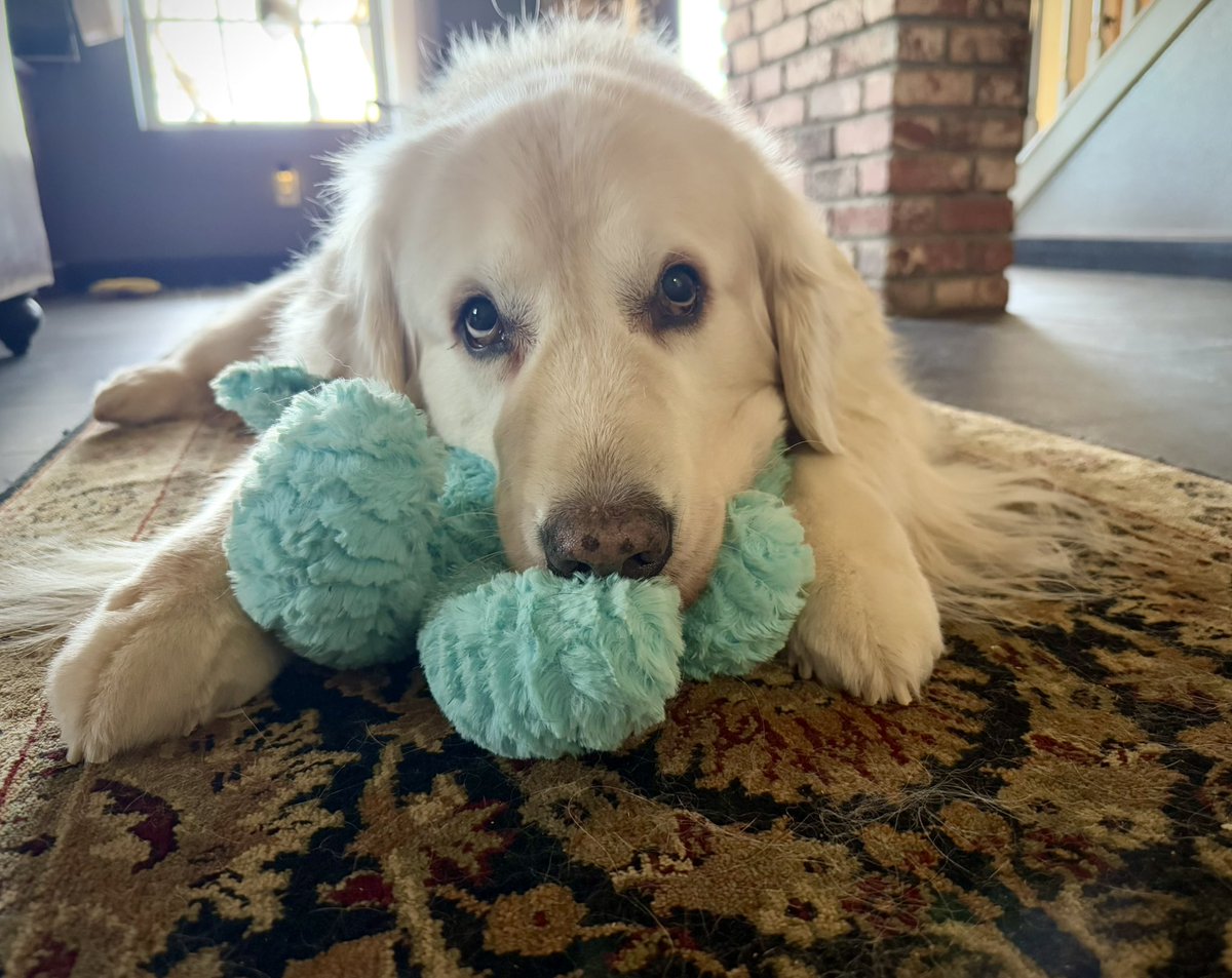 Mr. B snuggles are in order on a frosty day! I’ll be right here if you need me!