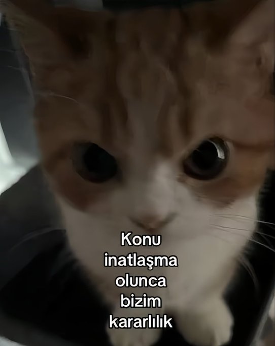 bana bişi sormayın (@kayboiduk) on Twitter photo 