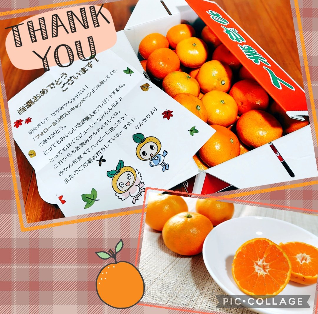 さがみかんきち【公式】 (@sagamikankichi) / Posts / X