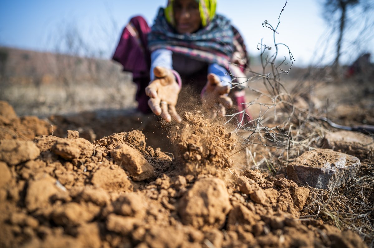 AFD_en 🇫🇷 🇪🇺 tweet media