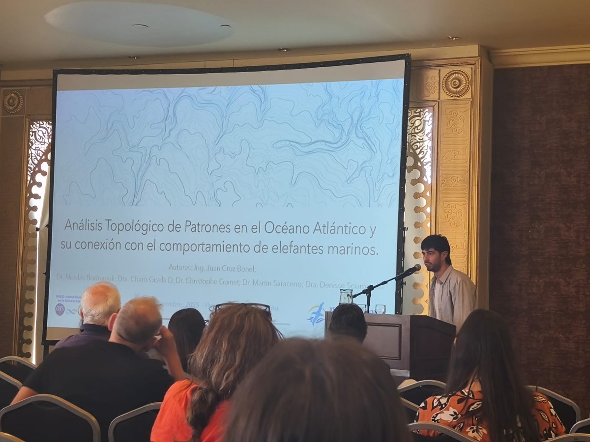 Denisse Sciamarella tweet media