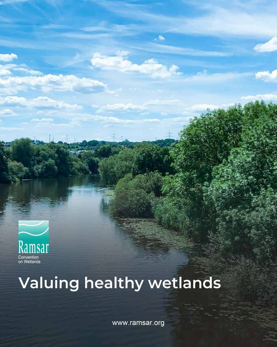 Wetlands provide an array of valuable services for society and the environment. 

Besides sustaining a huge number of plant and animal species, they improve water quality; reduce erosion and flooding and even moderate the effects of climate change.

#ValueWetlands #WetlandsMatter