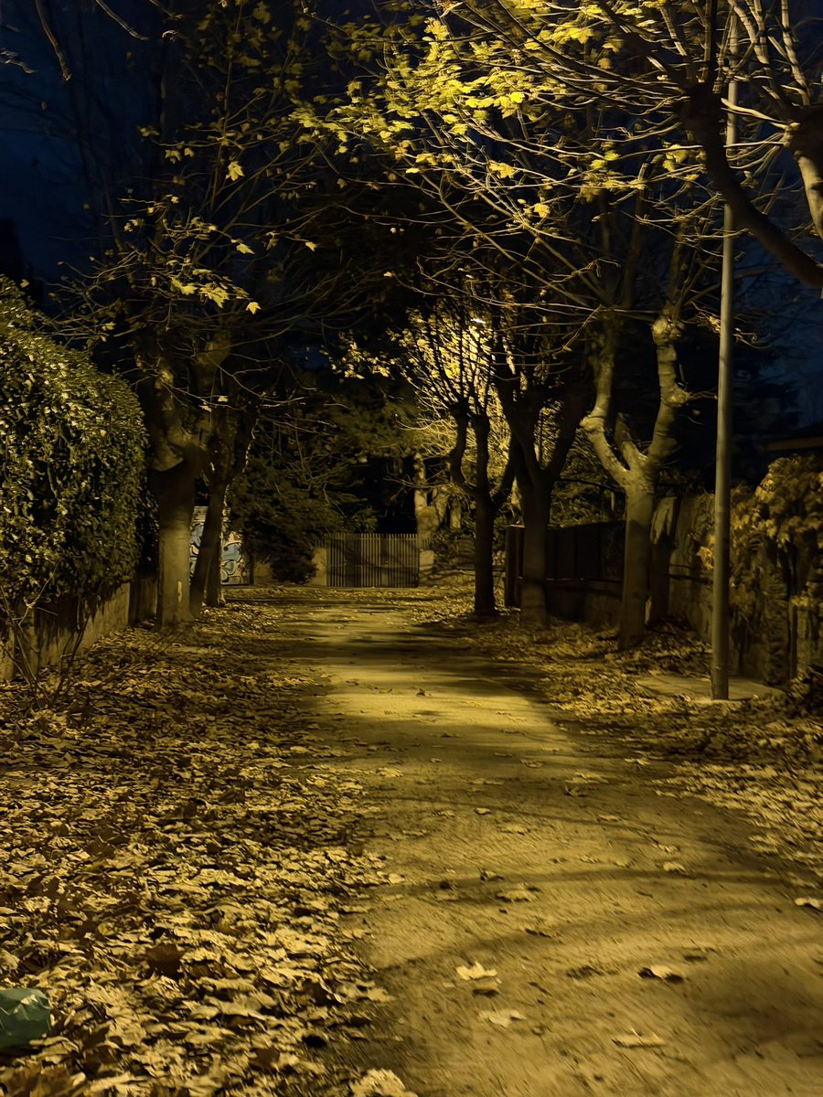 6runella's tweet image. 