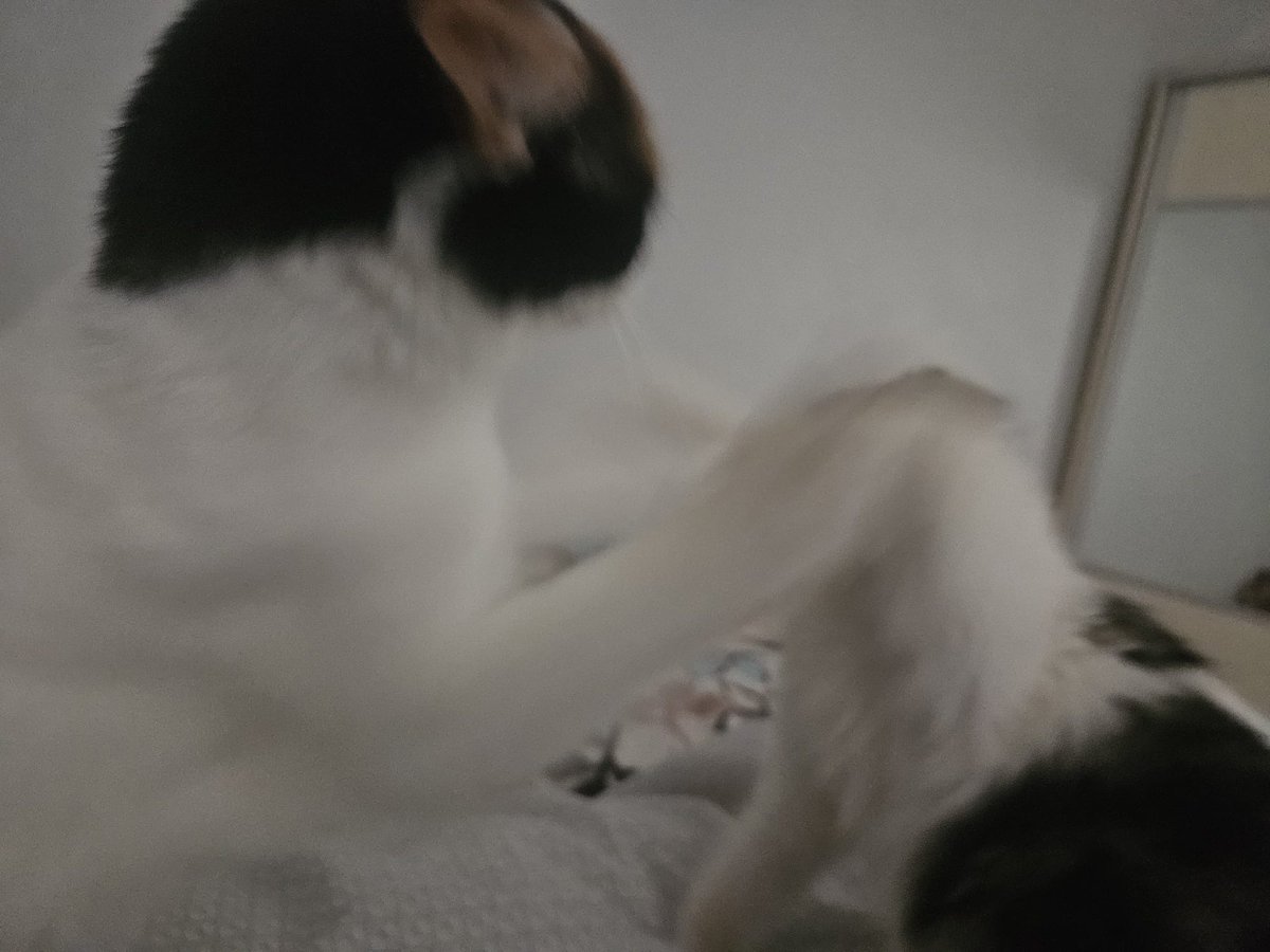 Küçük bir gerginlik çıktı ama mevzu büyümeden hallettik