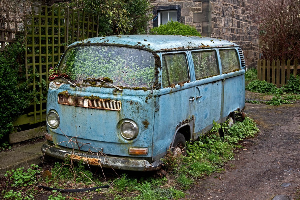 Alan Wilson tweet media