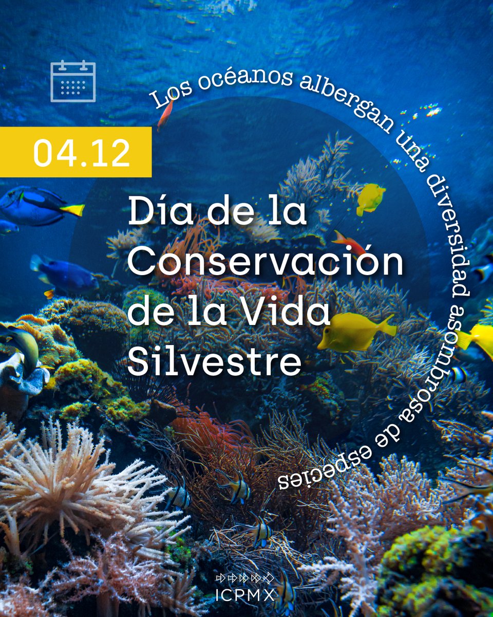 Proteger la vida silvestre es una forma de asegurar que la pesca y la acuacultura sigan siendo actividades viables, sostenibles y generadoras de bienestar. En ICPMX creemos que cuidar los recursos y el aprovechamiento responsable pueden y deben ir de la mano.