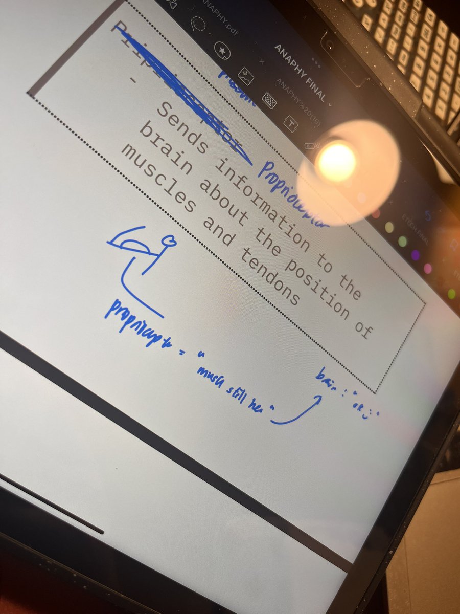 🍁kei (Frankenstein era) tweet media