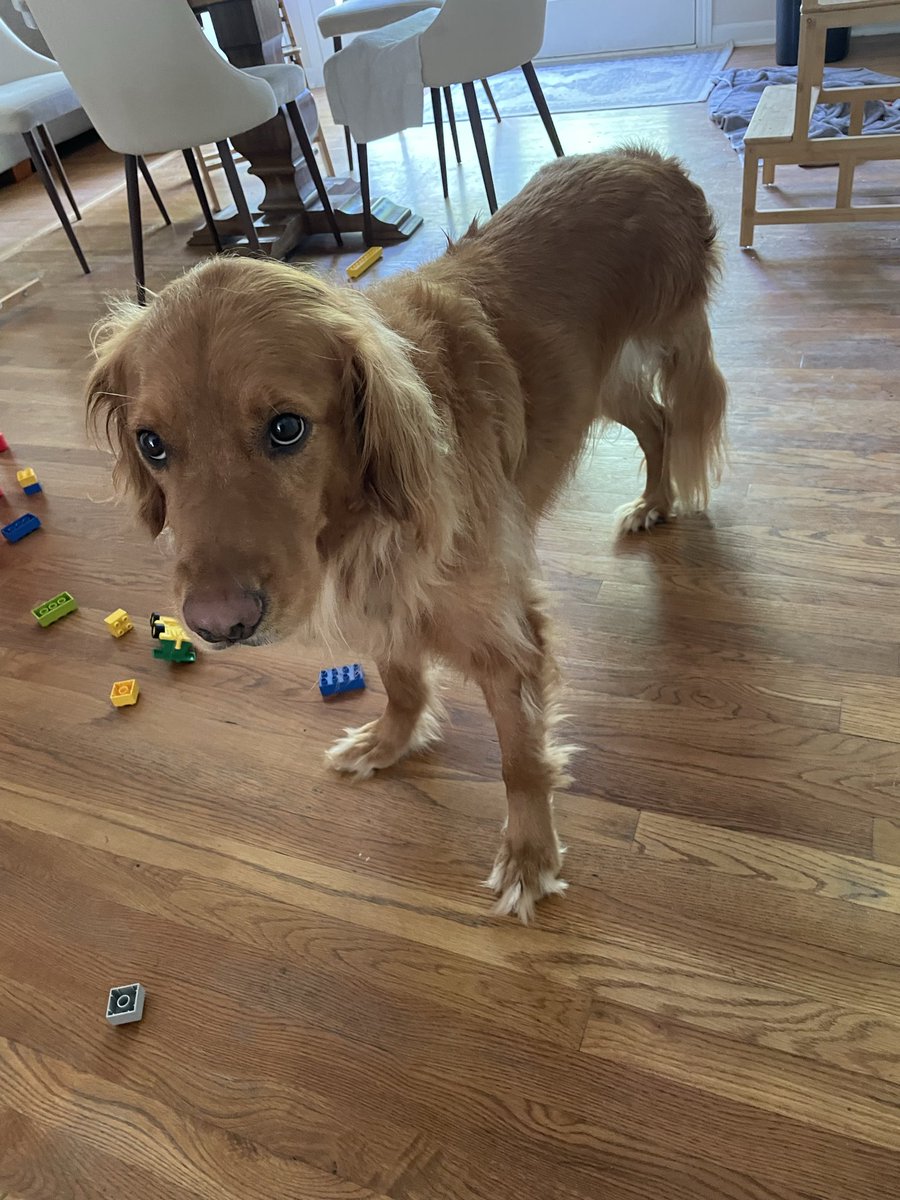 Clayton Dalrymple tweet media