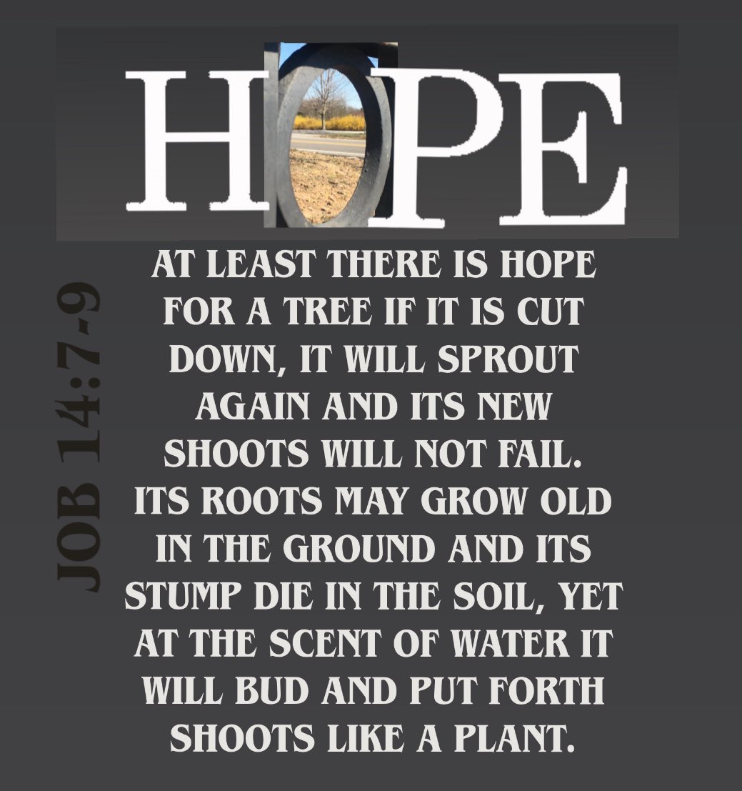 nowprayingnash's tweet image. Whoever believes in me, as #Scripture has said,
“rivers of #livingwater will flow from within them.” 
By this #Jesus meant the #Spirit whom those who believed in him were later to receive
John 7:38-39 

#hope #soul #wellspring #thursday #truth #thursdayvibes