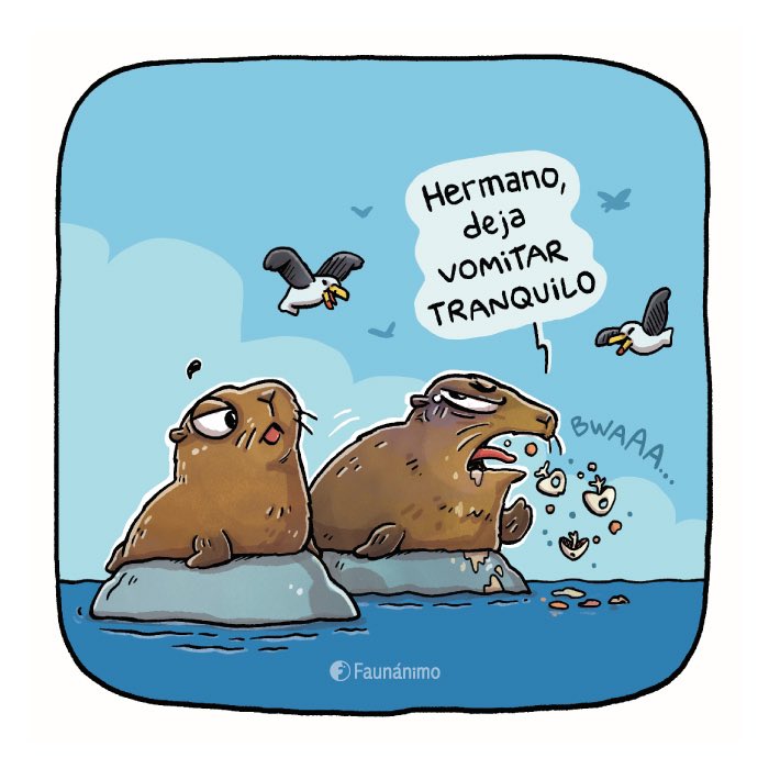 Faunanimo tweet media