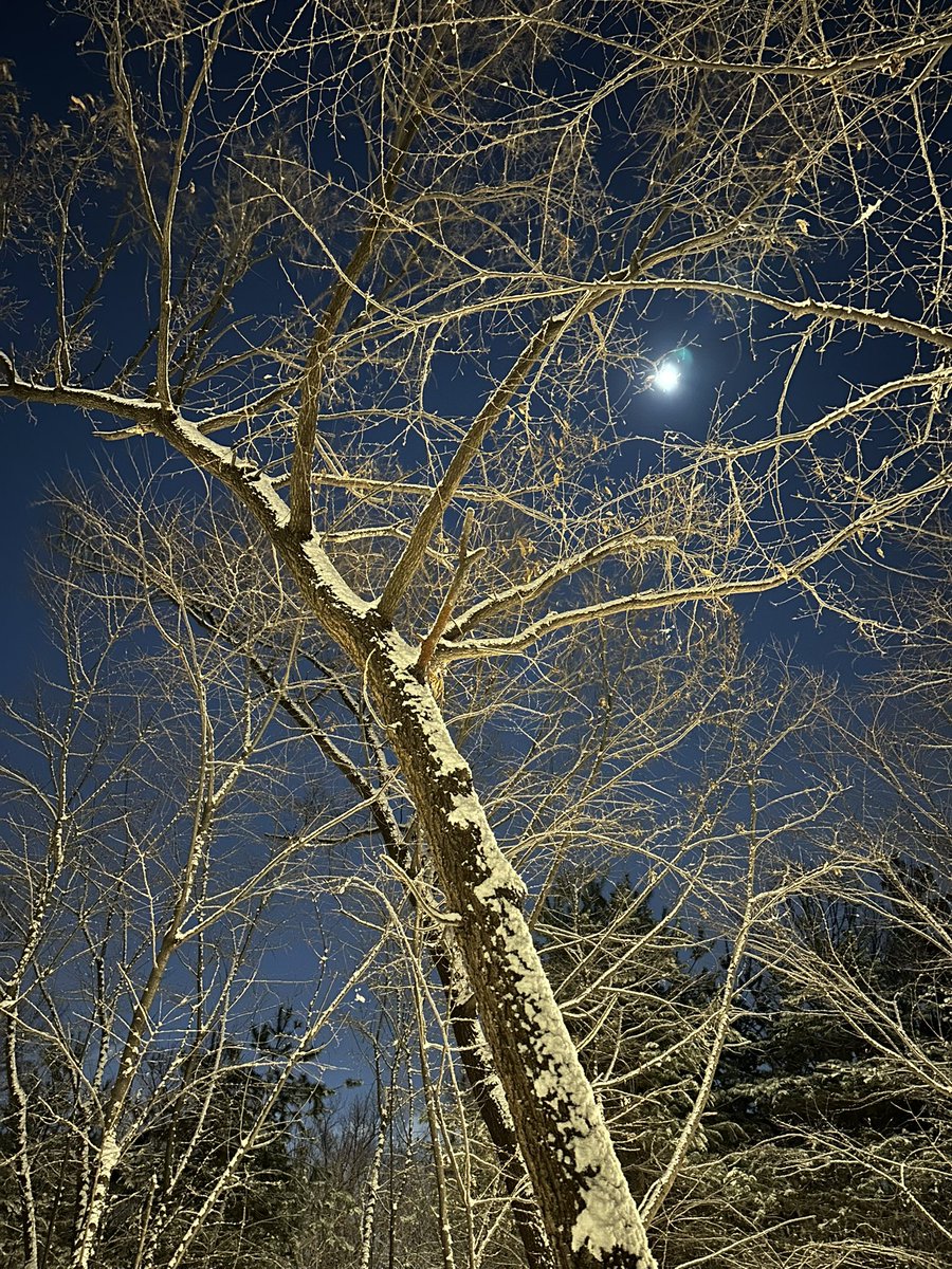 coreanjw's tweet photo. 아름다운 밤 입니다. 다들 굿나잇 ~~~ https://t.co/kVygTGYggj