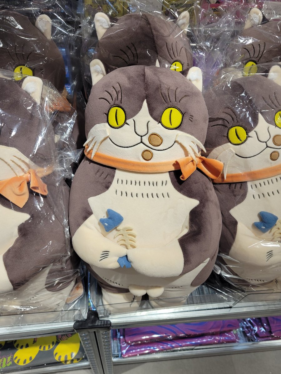 会場限定】特典付き 着ぐるみ猫 石黒亜矢子 ばけねこだらけ POP UP