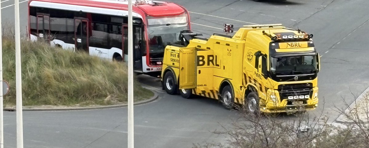 Vorsichtig nähert sich das Busmännchen und schnuppert ob das LKW Weibchen bereit ist zur Paarung
