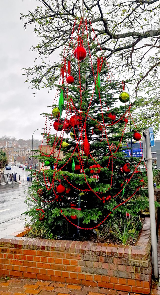 Forest Hill Society tweet media