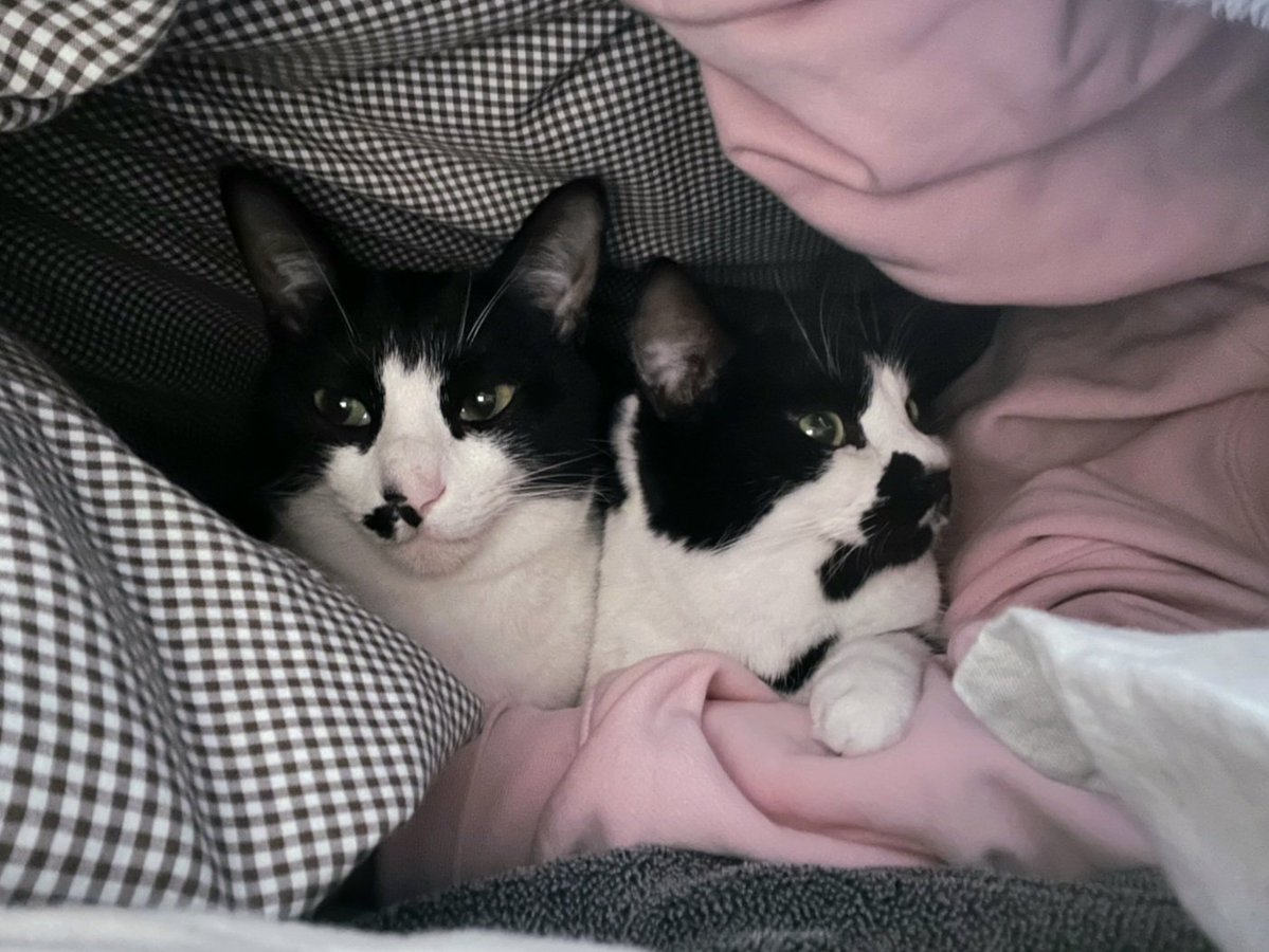 うっちー🍥 (@fujisan79) / Posts / X