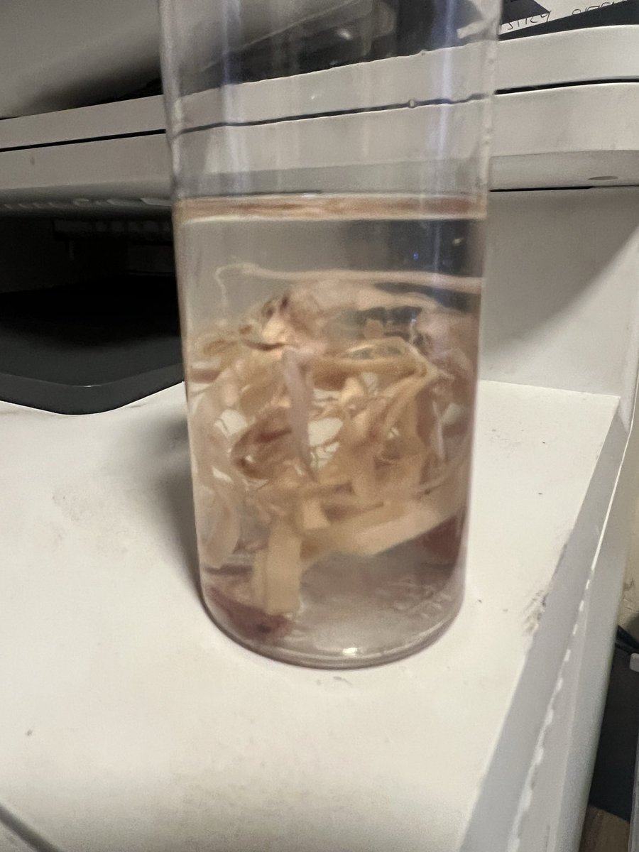 John Olooney tweet media