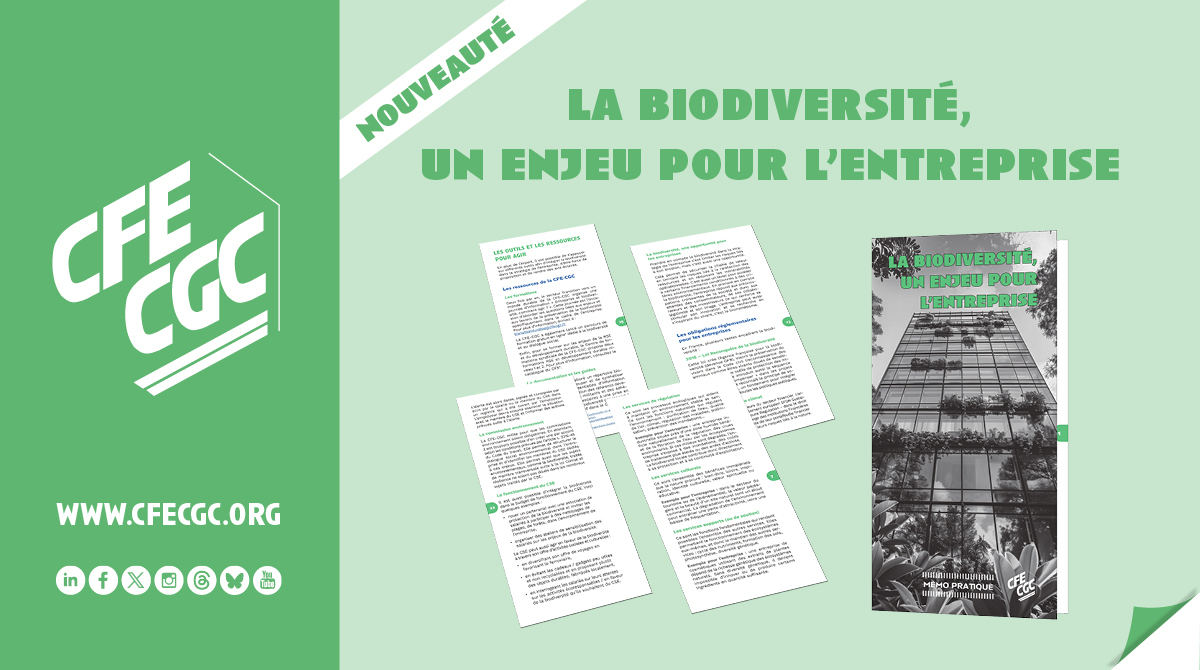 🌱Nouveauté ! Le mémo CFE-CGC : "La biodiversité, un enjeu pour l’entreprise"

Retrouvez notamment :
🔍 Les notions clés pour comprendre la #biodiversité
🏛 Le cadre réglementaire pour les entreprises
📕Les outils de la CFE-CGC et ressources pour agir 

➡ calameo.com/cfecgc/read/00…