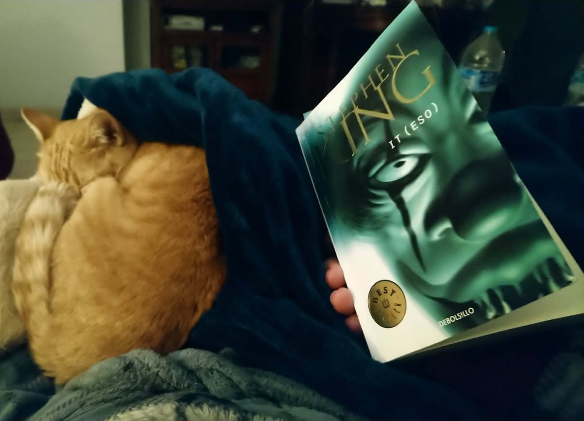 😱📖 Día libre y frío, momento perfecto para manta y seguir leyendo otro gran pendiente que me está encantando.
#IT #StephenKing #GatoJonesy dormido.