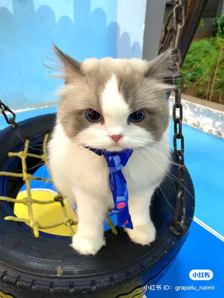 Jonny Bid tweet media