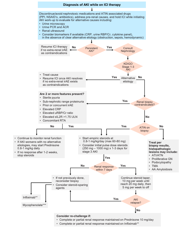 NDTsocial's tweet photo. Immune checkpoint inhibitor–associated nephritis: treatment standard

https://t.co/rKsGiIOmbV https://t.co/v5v7IGTSJe