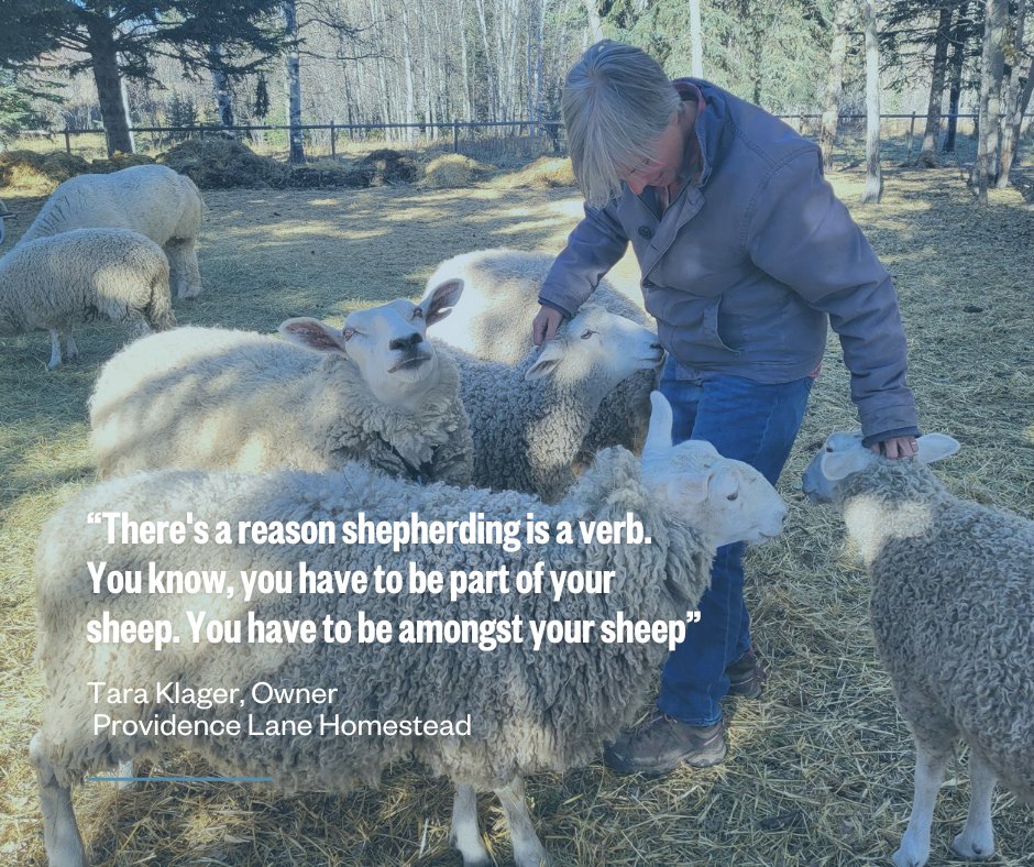 Cows and Fish | Riparian Management Society tweet media