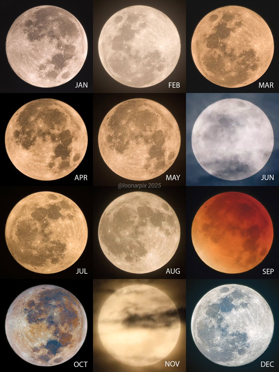 loonarpix🌙 tweet media