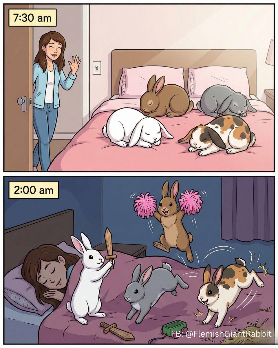 Somewhere, someplace there are bunnies jumping on someone's bed