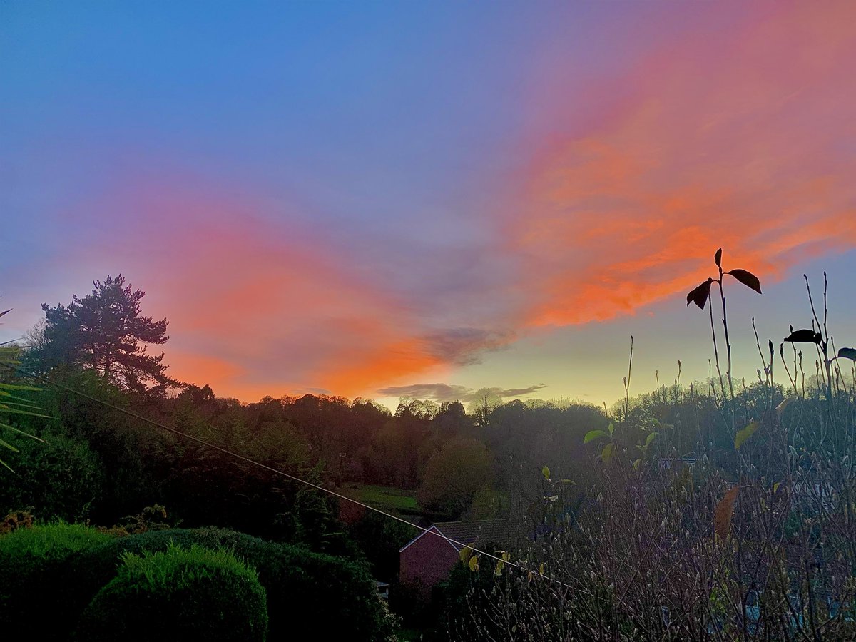 Sorted Social tweet media