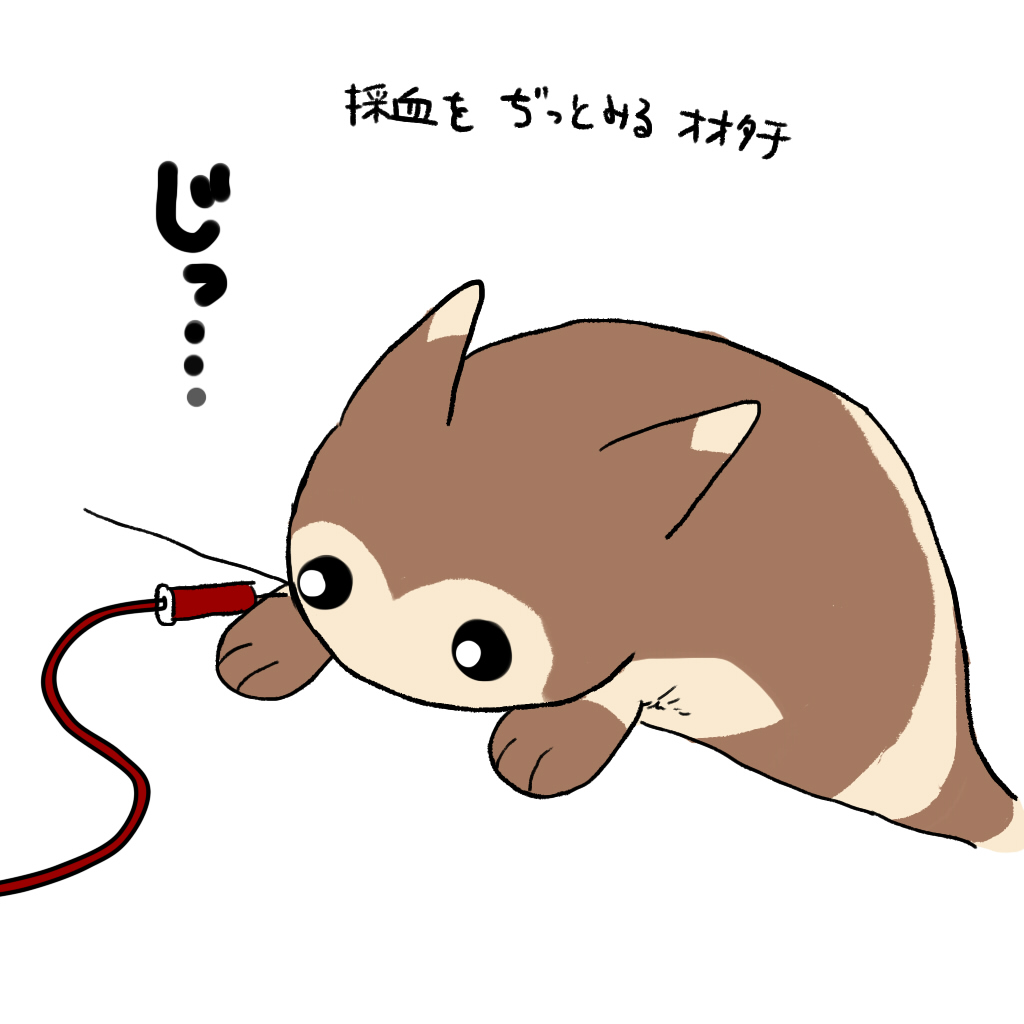 あいうえお (@tL2zyMo0jsU1lZi) / Posts / X