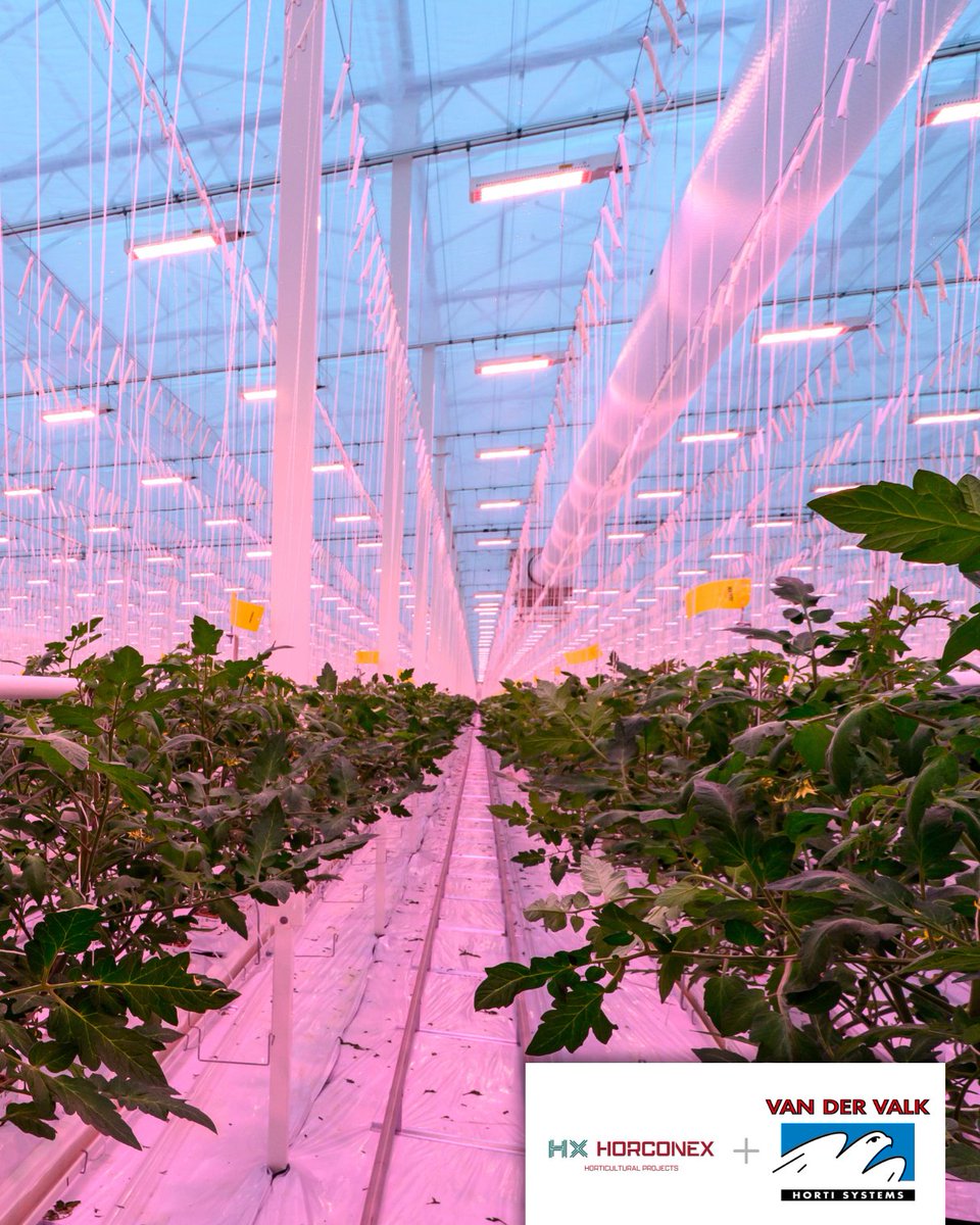 Project in The Netherlands

System: ValkTrussRail
Location: Netherlands
Size: 6 hectares
Project partner: Horconex
 
Recently, we worked on a beautiful 6 hectare project in IJsselmuiden in collaboration with Horconex. 
 
Learn more about ValkTrussRail ➡️ hubs.ly/Q03WfNtx0