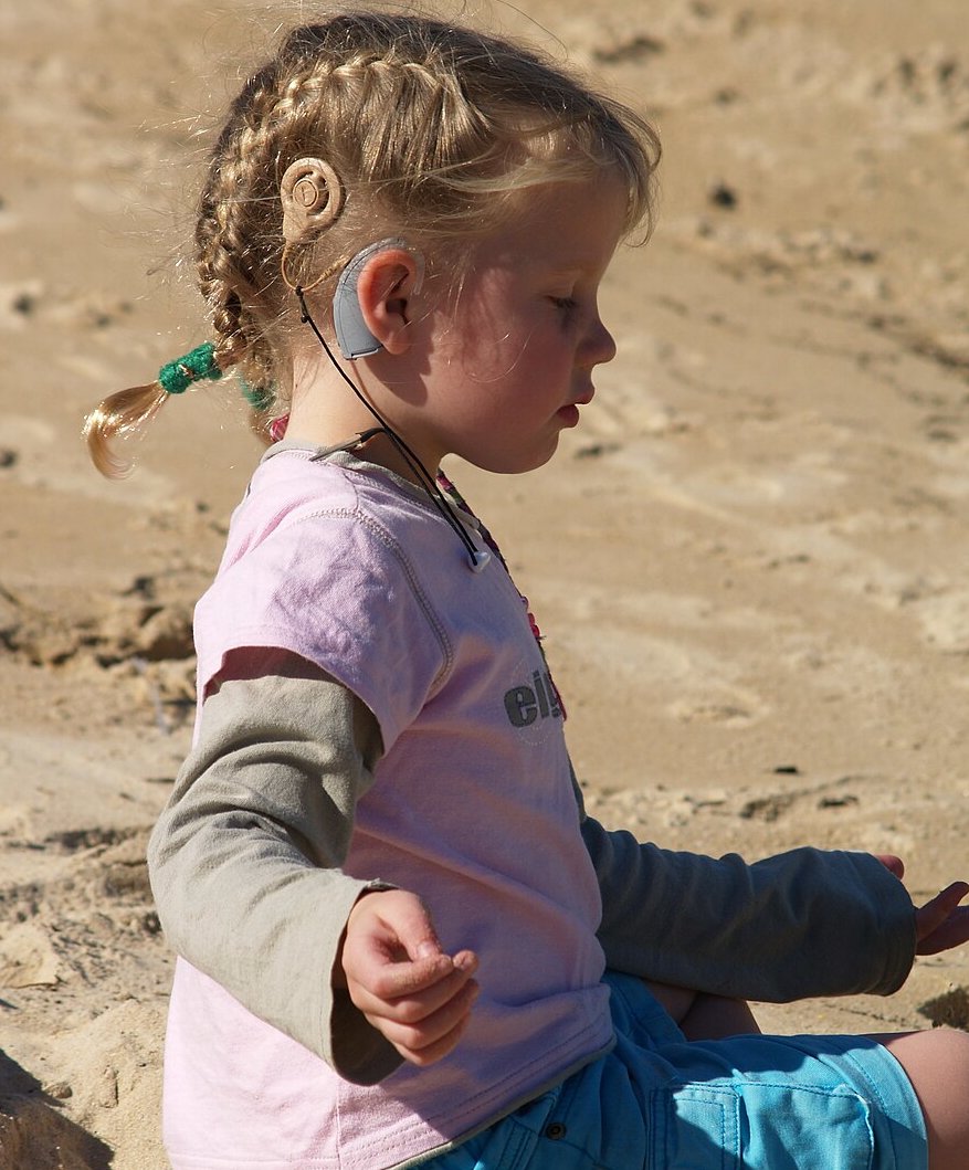 Logopedics Phoniatrics Vocology tweet media