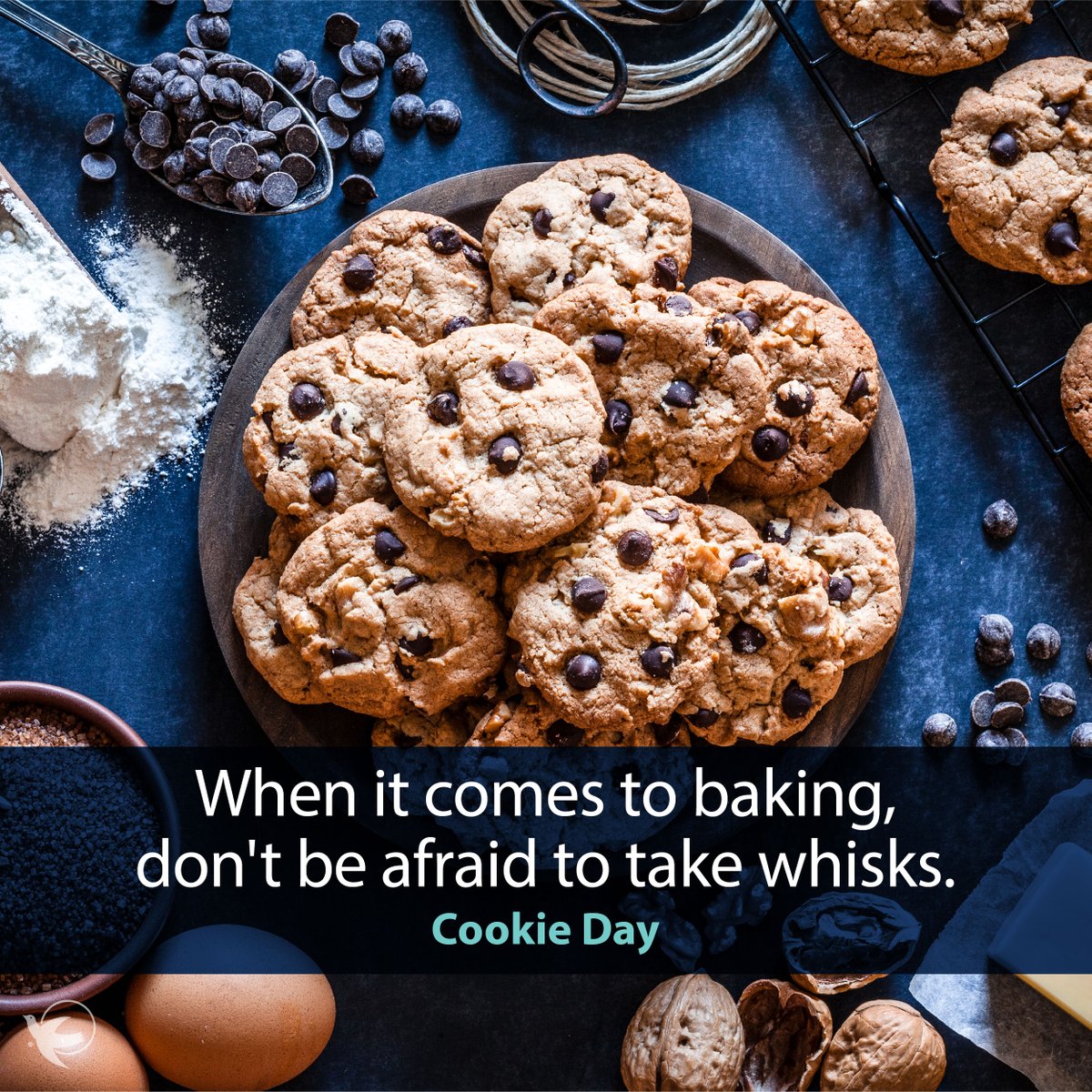 AngelsofRI's tweet photo. #VisitingAngels #VisitingAngelsofRI #homecare #CNA #caregiver #rhodeisland #family #caring #nationalcookieday https://t.co/YmP2SzeYiY