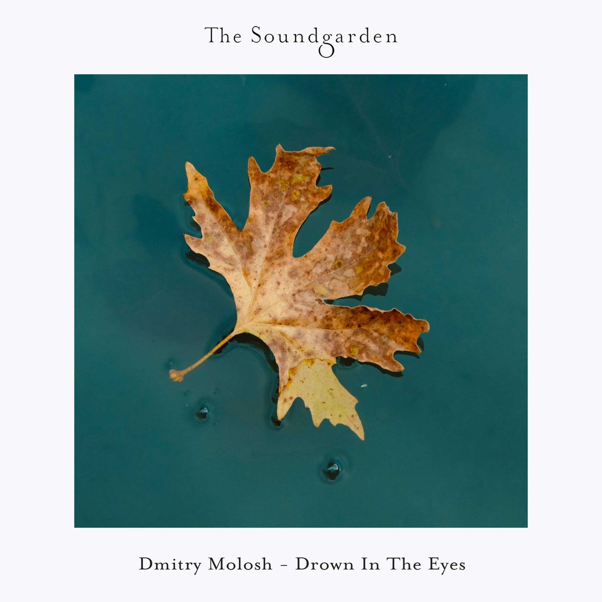 Dmitry Molosh tweet media